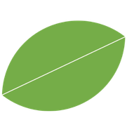 leaf icon